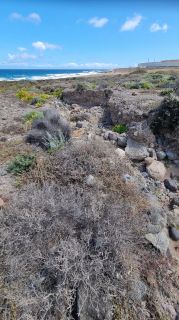 2024-03-Playa_Boca-Barranco--Jinamar-13.jpg